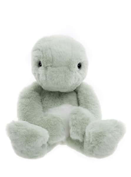 Timothy Turtle