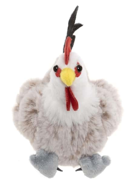 Rooster