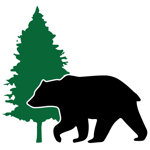 tree and bear