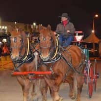 2021 Carriage Rides- SOLD OUT