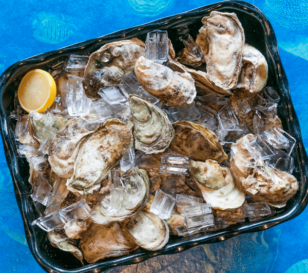 Fresh Oysters