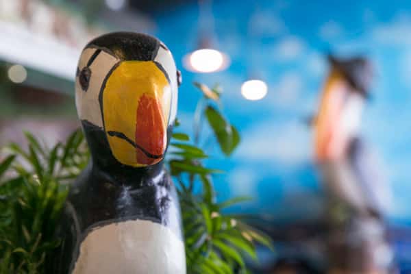 Close-up of a colorful puffin statue surrounded by lush green plants, set against a vibrant, coastal-themed restaurant interior with soft lighting and nautical decor.