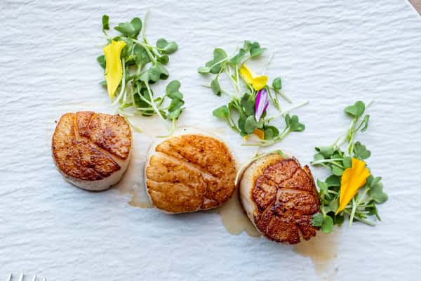 Seared Day Boat Scallops
