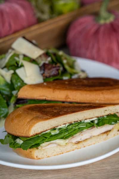 Grilled Chicken Panini