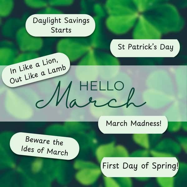 Hard to believe March is here!  The days are getting longer and for us it gets us one more closer to opening day on May 9th!  Stay tuned for all the news of 2025!

#nationalhotelbi #blockisland #march #summeriscoming