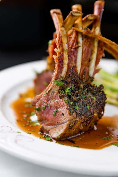lamb