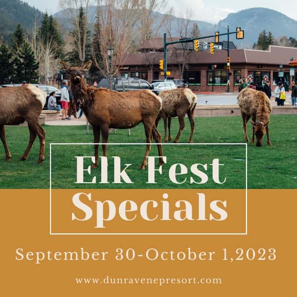 elk fest promo