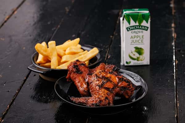 Mini Fino Wings