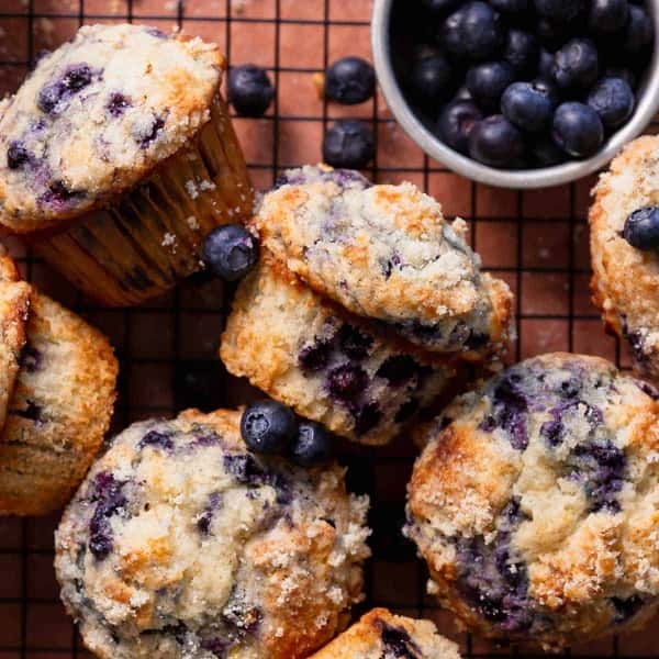 Blueberry Muffin