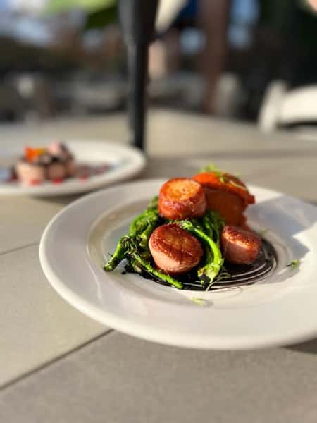 scallop