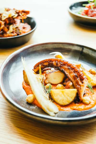 Grilled Octopus