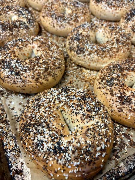 all seed bagel 