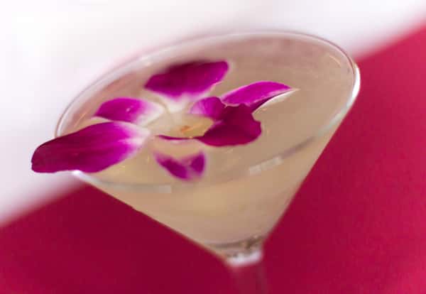 wild orchid drink