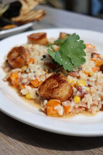 SEARED SCALLOPS