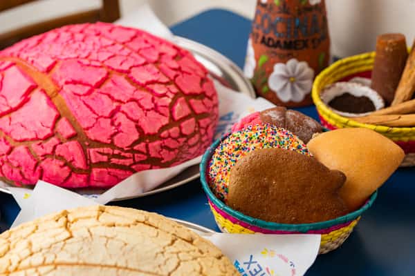 XL Conchas
