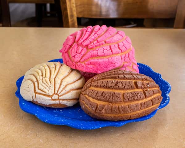 Tres XL Conchas