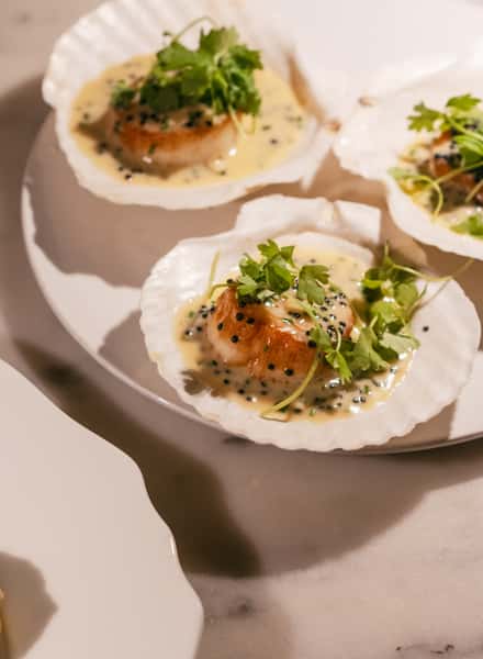 scallops