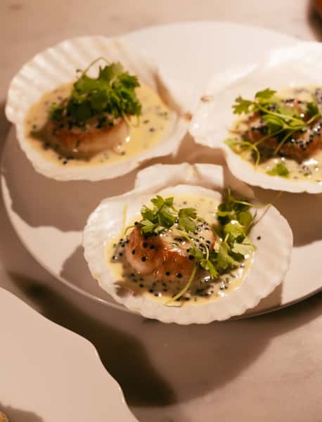 Scallops