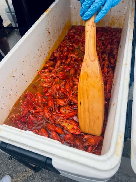 Crawfish 2024