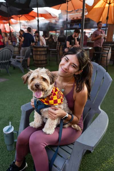 guest and dog