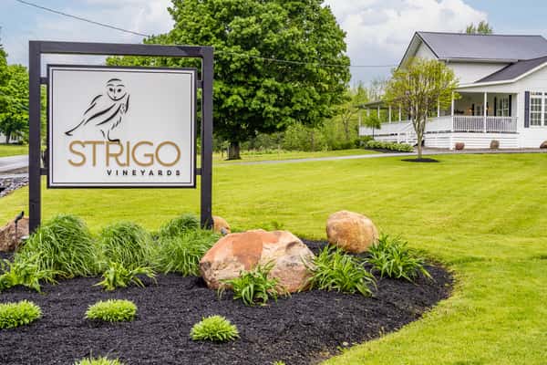 Entrance to Strigo Vineyards