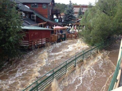 cactus flood