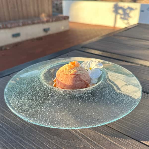 Seasonal Sorbet