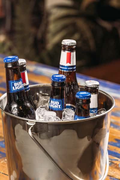 Bucket of Beer