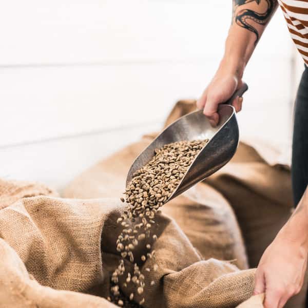 Fresh coffee beans