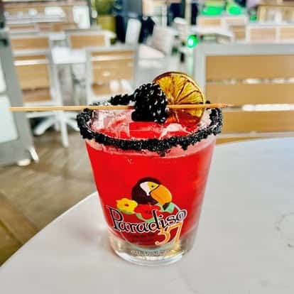 Vibrant red cocktail in a Paradiso 37 glass, garnished with a dried lime wheel and blackberry skewer, with a black salt rim, perfect for tropical dining vibes.