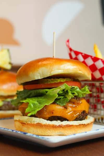 Canadian Bison Burger