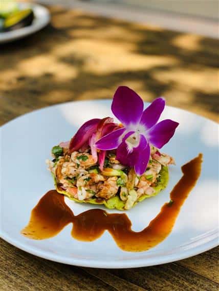 tostada