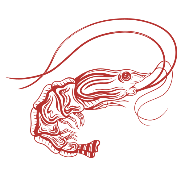 shrimp
