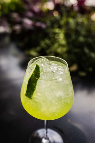 Cucumber Elderflower Spritz