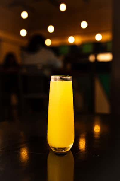 Mimosa Pitcher