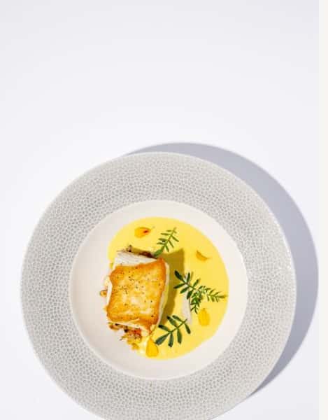 Halibut1