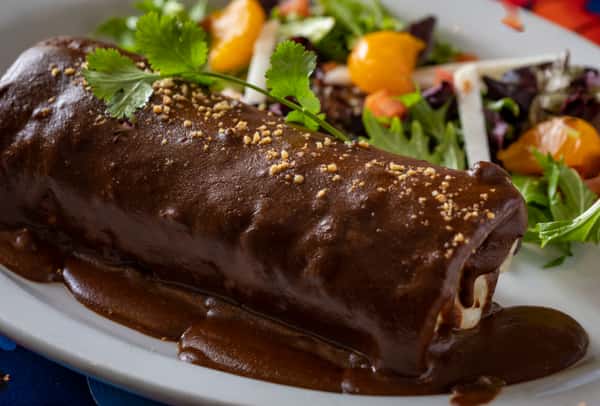 mole burrito