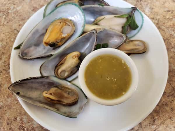 Steamed green-lipped mussels served on a white plate with a side of tangy green dipping sauce, highlighting a fresh seafood appetizer.