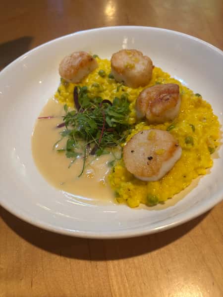 scallops