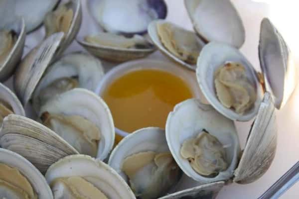 Steamed Middle-Neck Clams