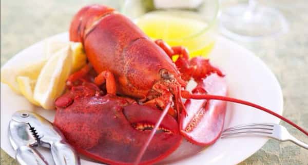 Whole Maine Lobster