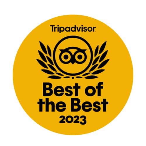 Tripadvisor 2023