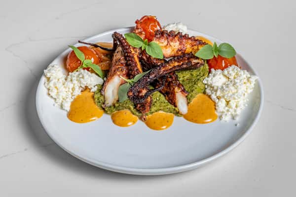 Charred grilled octopus atop a bed of herbaceous green purée, paired with creamy cheese crumbles, roasted tomatoes, and vibrant orange sauce, garnished with fresh microgreens for a Mediterranean-inspired presentation.
