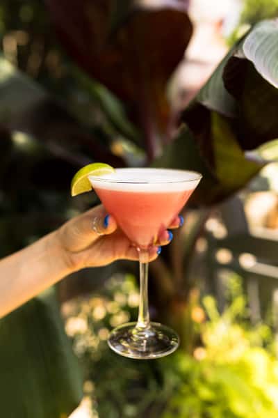 Hand holding a pink cocktail in a martini glass garnished with a lime wedge, with tropical plants in the background.