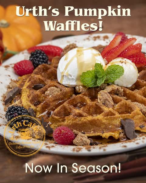 A special seasonal surprise awaits you at Urth Caffé 🎃🧇 the fan-favorite Pumpkin Waffles are back!
Urth's classic Belgian Waffles are golden and crispy on the outside and soft on the inside to create a perfectly balanced full, decadent waffle. Add in Urth's signature spiced pumpkin puree and top with the freshest, just whipped cream, acacia honey butter and cinnamon walnut crumbles and you have an excellent seasonal treat!
The Pumpkin Waffle is available at all Urth Caffé locations, stop by for our signature hand-crafted coffees and fine teas to compliment your cozy fall breakfast.
#urthcaffe #pumpkinwaffle #pumpkinszn #pureorganic #organicingredients