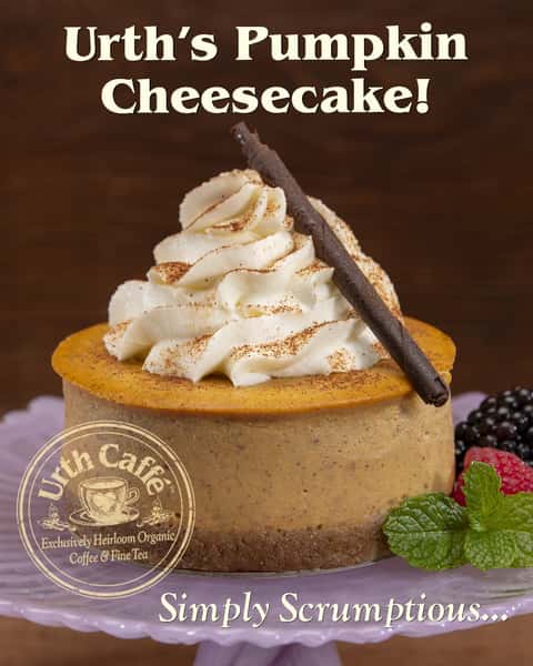What better way to start this spooky season than to feast upon our famous Pumpkin Cheesecake 🎃🍰 — prepared the same as our classic cheesecake with pure spiced pumpkin puree atop our house-made graham cracker crust. A terrifyingly delicious combination of seasonal sweetness and a traditional recipe, you won't get enough of it!
We recommend combining this delectable goodness with our rich, creamy Urth Italia™ Espresso, the perfect complement to any dessert ☕
Visit the Urth Downtown location and relax by the cozy fireplace to get right into the holiday spirit. Online Ordering is also available at all Urth Caffé locations for your convenience!
#urthcaffe #spookyseason #holidaytreats #seasonalsweets #pumpkincheescake