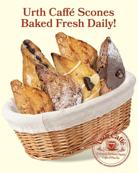 As Urth Caffé packs its bags for our soon-to-be Urth London location, we are sure to bring along our in-house made authentic scones💂

Crispy on the outside, flaky and moist inside — perfect to pair with any of our fine teas or heirloom organic coffee. We have wide variety to enjoy: our fresh Blueberry, Citrus Ginger, the decadent Chocolate Espresso, the comforting Dried Fruit & Nut, all the way to the nutty White Chocolate pecan...you're sure to have a favorite once you've tried them all!

#urthcaffe #englishscones #urthlondon #lowerinacid #healthierforall