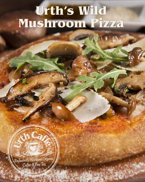 Happy National Mushroom Day! Urth Caffé carries a variety of mushroom-focused dishes for our guests to enjoy a healthy, filling meal. 🍄‍🟫🍽️

Mushrooms are packed with rich nutrients such as Vitamin B6, Potassium, Zinc, and Vitamin D. They are low in calories but contain many proteins that support the immune system to keep your body healthy and regulated.

#urthcaffe #nationalmushroomday #wildmushrooms #savorymeals #freshorganicingredients