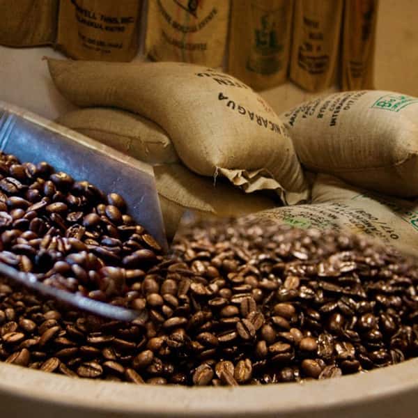 September is National Organic Month, but Urth Caffé celebrates all things organic year-round! 🌿☕

Urth Caffé's source farms are annually inspected by independent third-party certifiers, who abide by the highest international standards, that guarantee Urth heirloom organic coffee is 100% chemical free! Every aspect of the coffee, from the cultivation to the processing and shipping, is fully inspected, documented, and certified annually.

Urth's heirloom coffee comes from coffee trees that have never been genetically modified from their ancient, wild ancestors. This ensures that the coffee you receive is less acidic, superior in sweetness, aroma, and easier to digest than coffee from conventional, hybridized trees.

If you'd like to learn more about Urth Caffé's commitment to all things organic and fresh, click the 🔗 in our bio to visit the Urth Blog, "Urth Caffé's Worldwide Partnerships Produce Heirloom, Organic Coffees That Are Healthier for All".

#urthcaffe #lowerinacid #healthierforall #organiccoffee #nationalorganicmonth