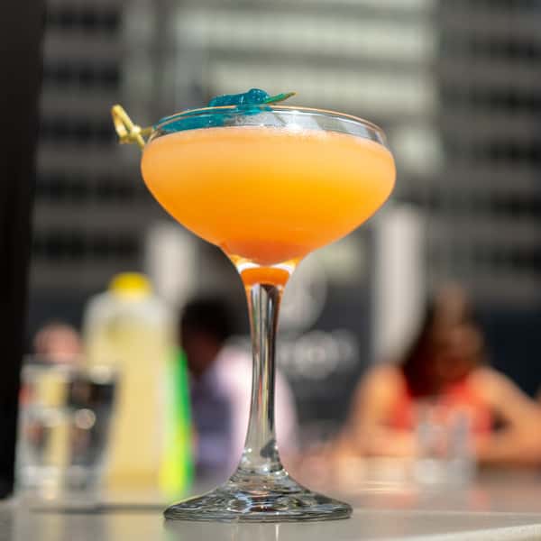 cocktail